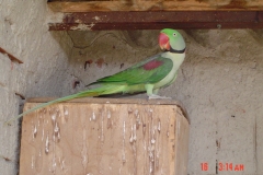 DSC00200 2