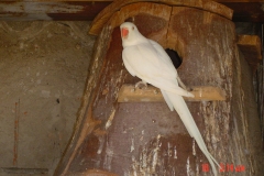 DSC00201 2