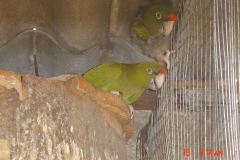 DSC00202 2