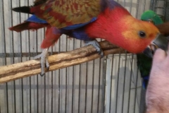 IMG-404d4e3142d68941c15b8b3cefbad709-V